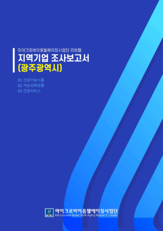 지역기업 조사보고서_광주